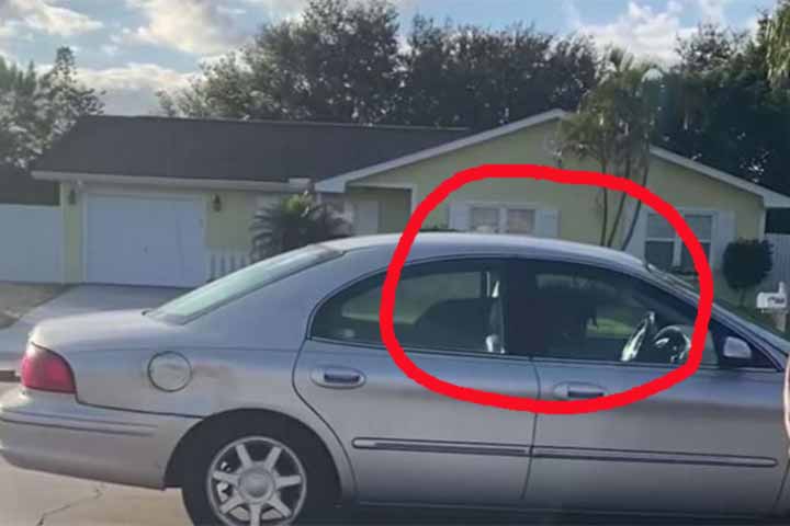 Florida dog hijacks car, spends an hour driving in circles, rtvonline