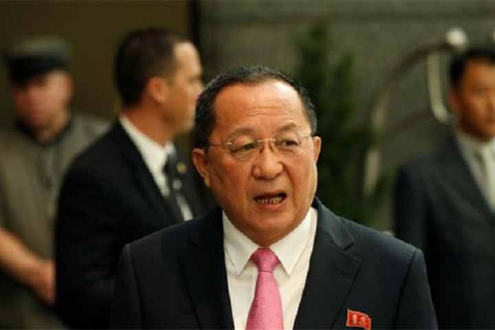North Korea's foreign minister removed