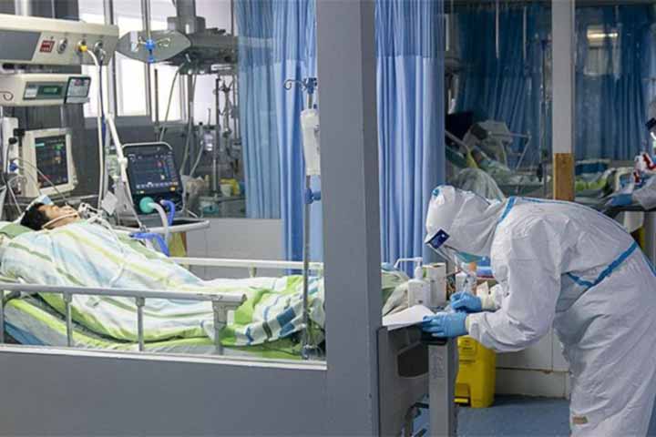 56 dead in coronavirus, first case detected in Canada