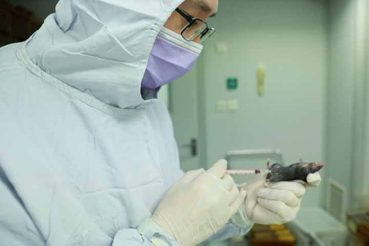 Animal tests started of Novel coronavirus vaccine