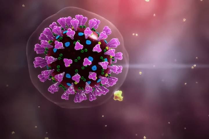 Coronavirus can live in your body for up to 37 days, according to new study