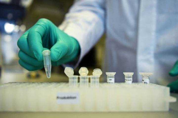 Italian scientists claim world-first coronavirus vaccine breakthrough