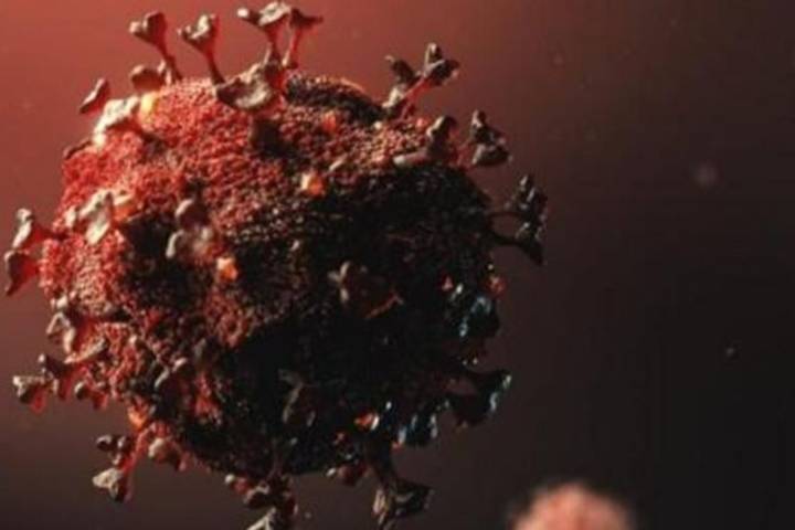 more than one hundred mutation was in coronavirus