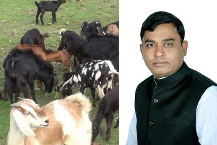 Patha goat, livestock officer, Awami League leader, beaten