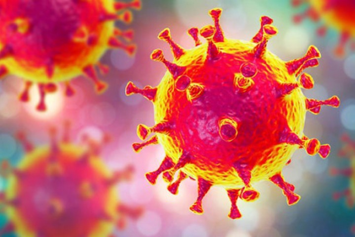 Coronavirus would return in winter