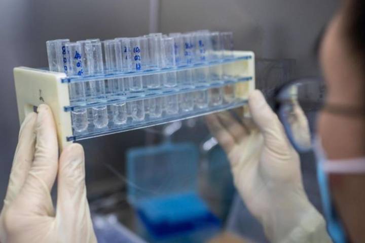 china's coronavirus vaccine facility ready to make millions of dose