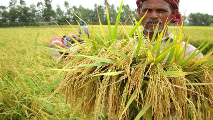 Bangladesh is the third largest rice producer in the world after Indonesia