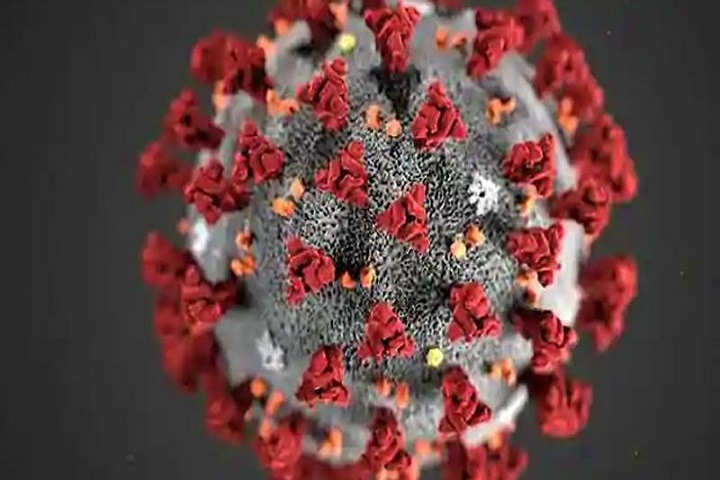 Corona Sherpur virus