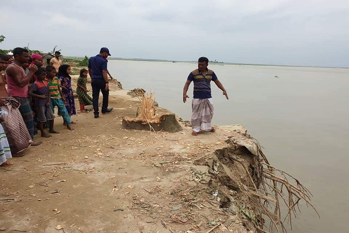 Hundreds of houses were destroyed in the erosion of Dhanu river in Khaliajuri!