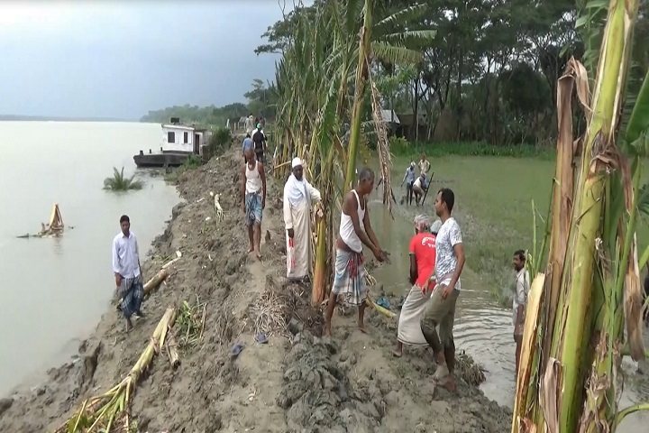 The embankment of the river Bishkhali, which was destroyed in Ampan, was repaired at the voluntary ashram