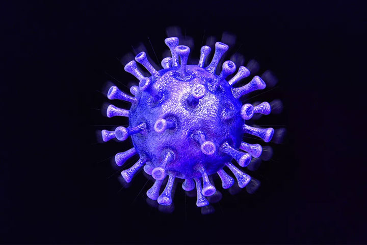 Coronavirus, infected, dead, healthy, rate