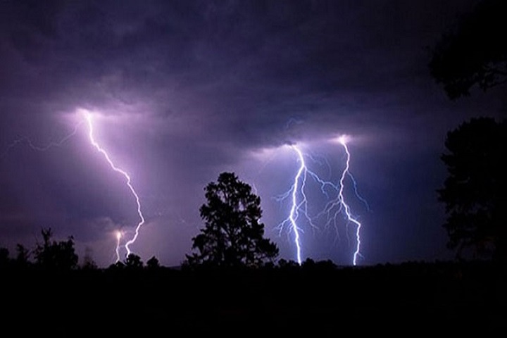 Father and son die in lightning strike while harvesting paddy