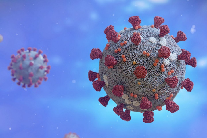Corona virus detection rate 21.54 percent