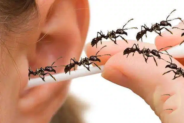 Ants in the ears, do that