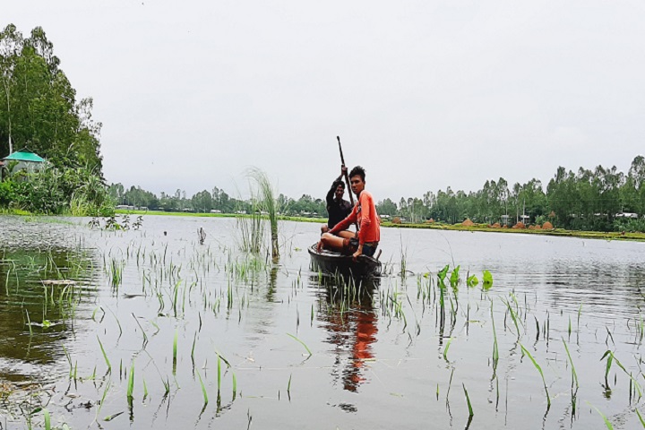 Rivers in Kurigram are flooded, low lying areas are flooded,