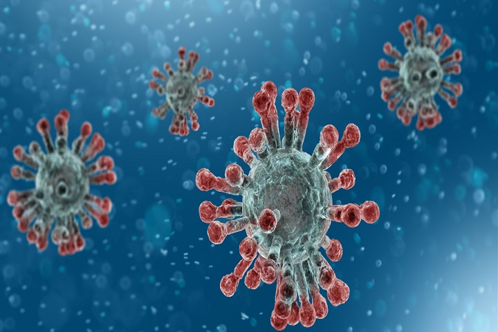 3 new coronaviruses have been identified