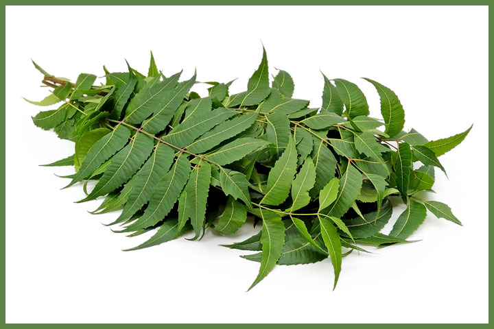 Why use neem leaves in bath water at this time?