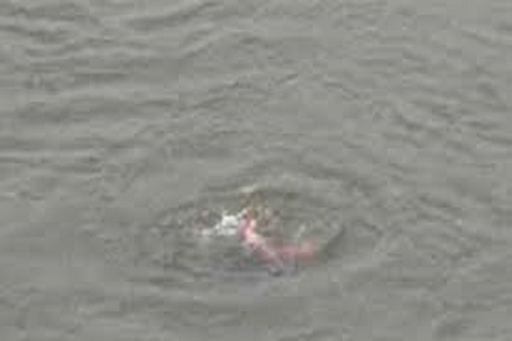 Two children drowned in Panchagarh pond