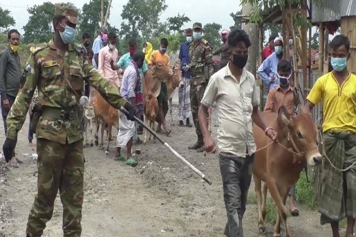 The army is in control of the cattle market in Nilphamari