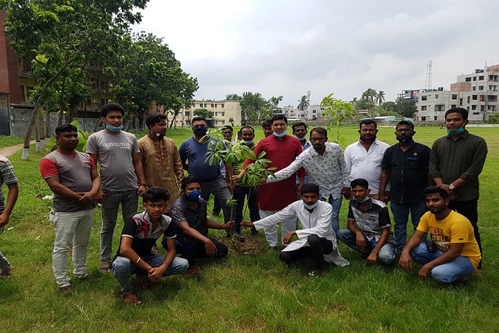 Planting Juba League trees Jessore Mujib year
