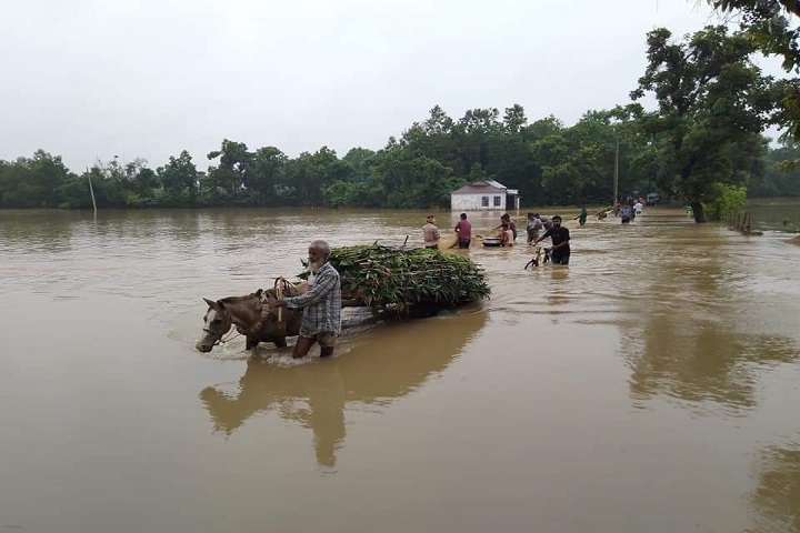 Madhupur forest Suffering movement Flooded