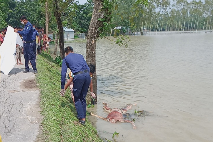 The body of a young man has been washed away in the flood waters in Kurigram