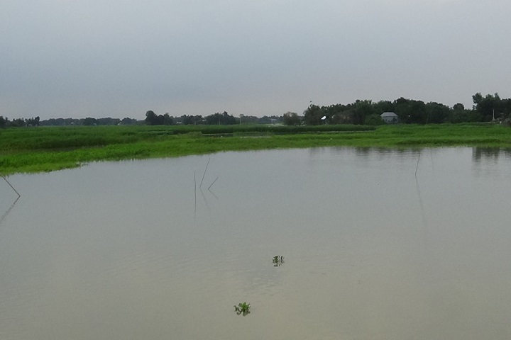 In Faridpur, the water level of Padma has increased by 23 cm in 12 hours