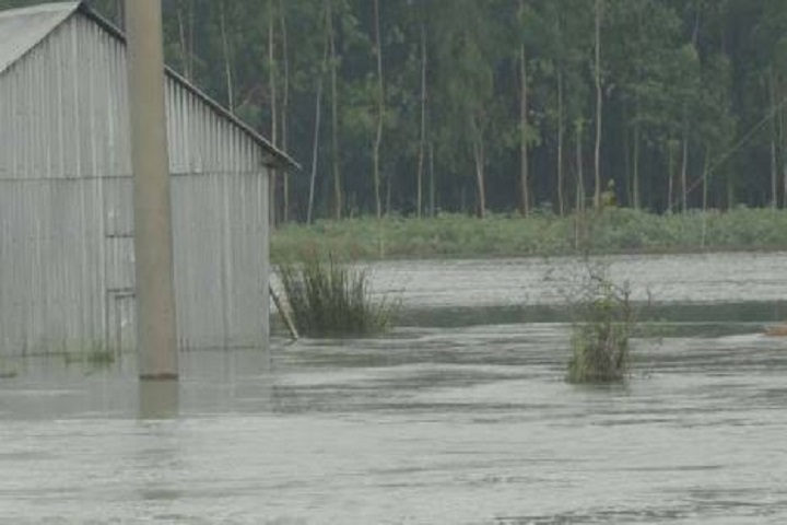Although the flood situation has improved in Sherpur, the suffering of the flood victims has increased