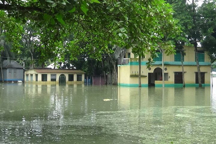 Flood, Faridpur, flooded