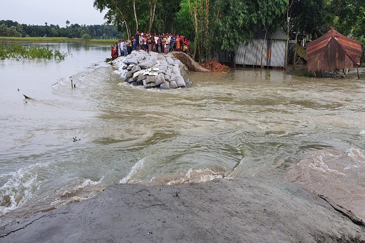 Flood control dam breaks again in Faridpur