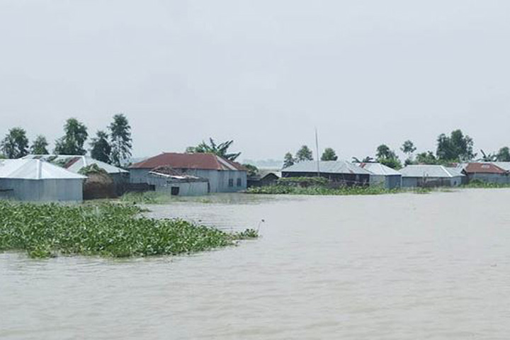 Distribution of 8,148 tons of rice among the flood victims