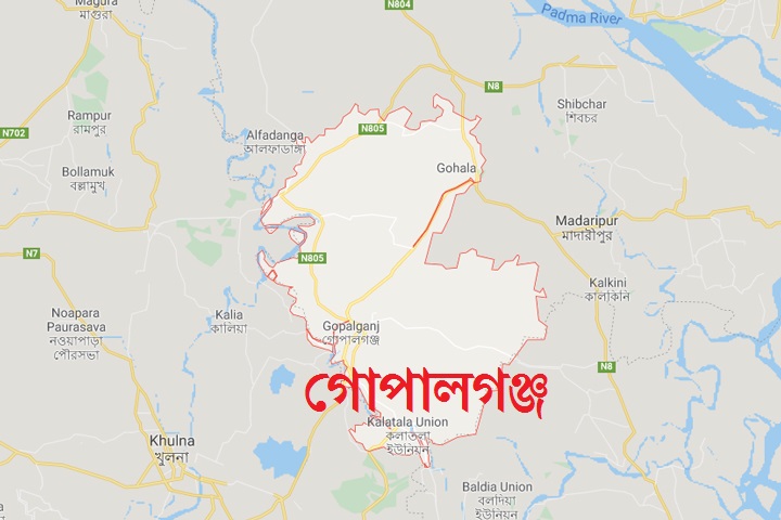 Three members of the same family died on the road in Gopalganj