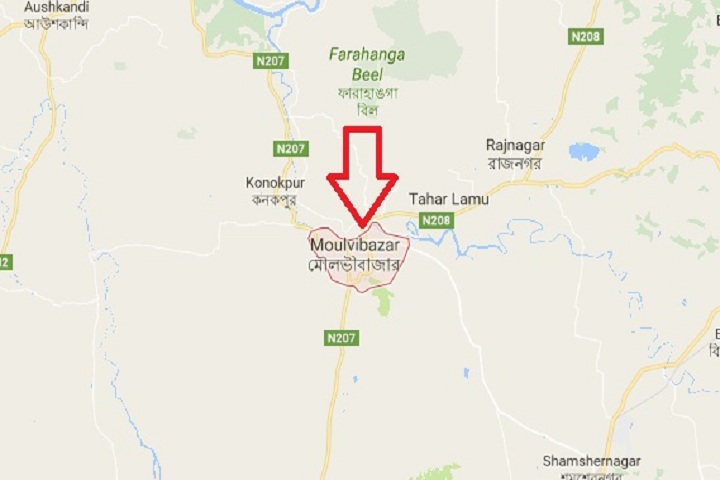 The bodies of a tea worker couple were recovered in Moulvibazar