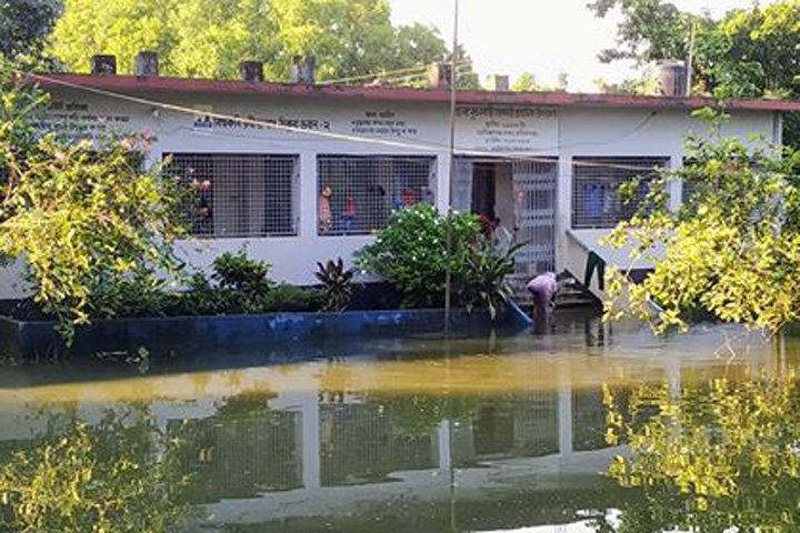 307 primary schools in Manikganj damaged by floods and river erosion