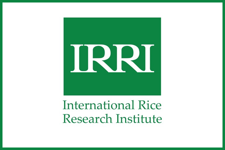 nternational Rice Research Institute