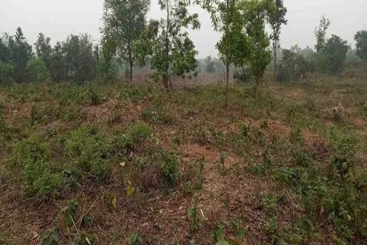 Beneficiaries of social forestry in Ghatail, Tangail