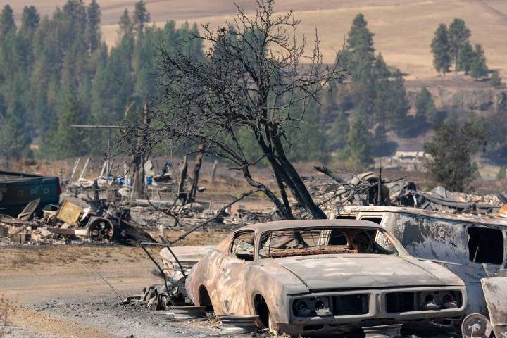 US deadly wildfires kill 23