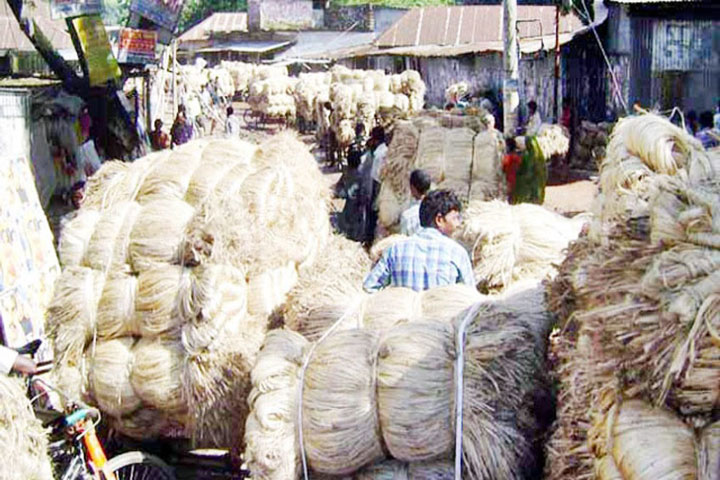 Now the price of jute is good, but the yield is low