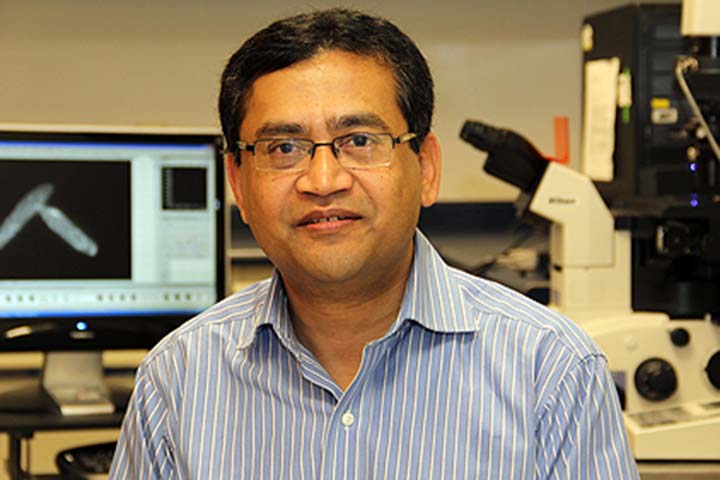 Dr. of Bangladeshi descent. Ruhul Abid nominated for the Nobel Prize