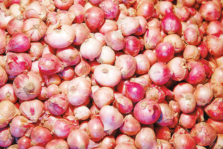 19,000 tons of onions are coming from five countries