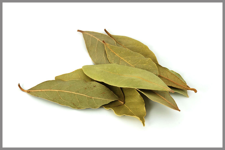 Bay leaves, benefits, qualities