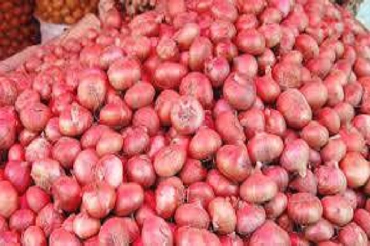 Onion export to Kurigram