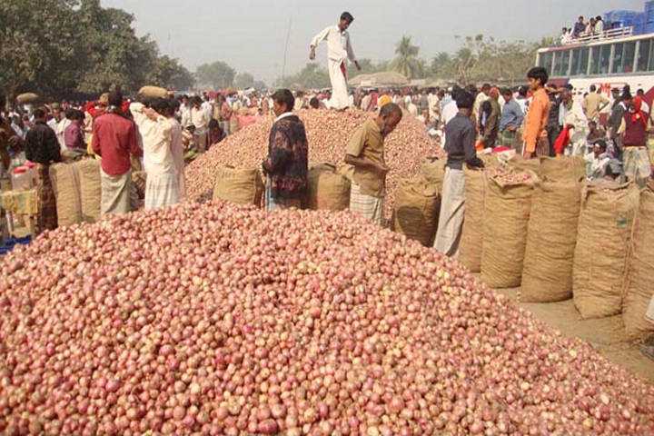 Onion stocks, in farmers' houses, rtv online