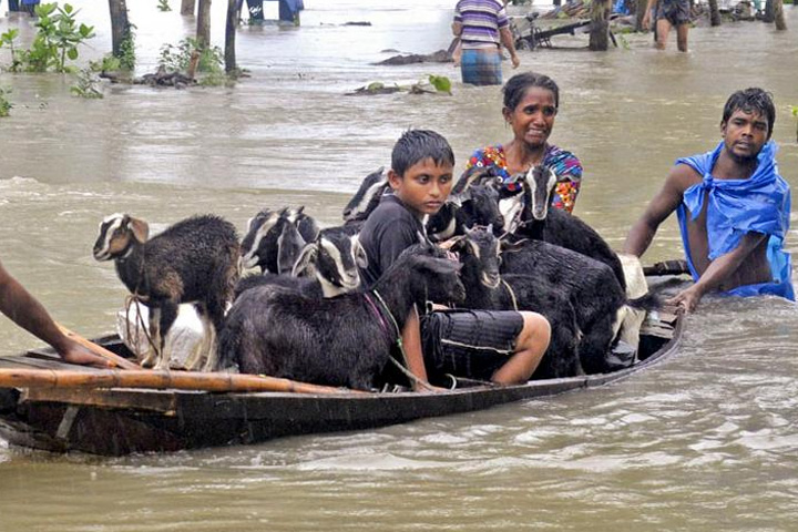 Images of the floods in Bangladesh