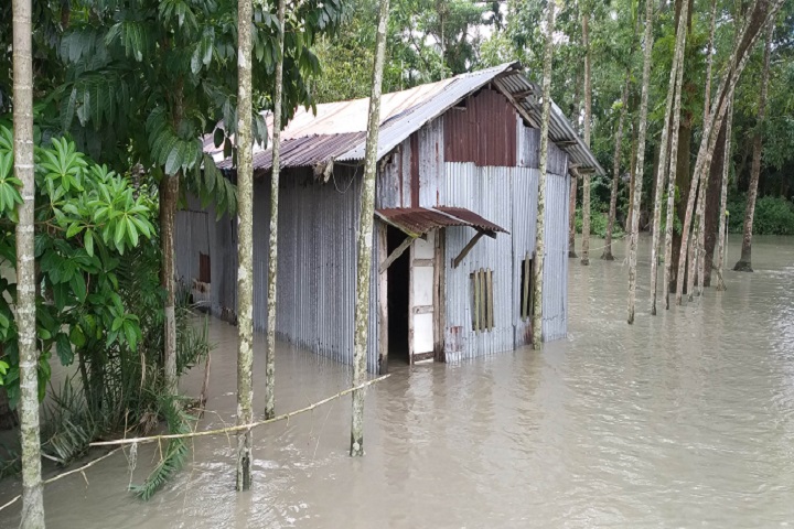 Hatia was flooded, with 20 grams, of abnormal tide, rtvnews, rtv news