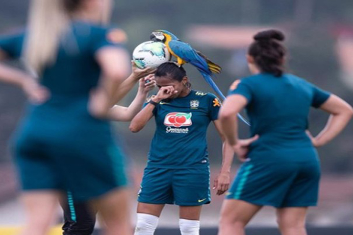 Macau sat on the female footballer's head as he flew over the field