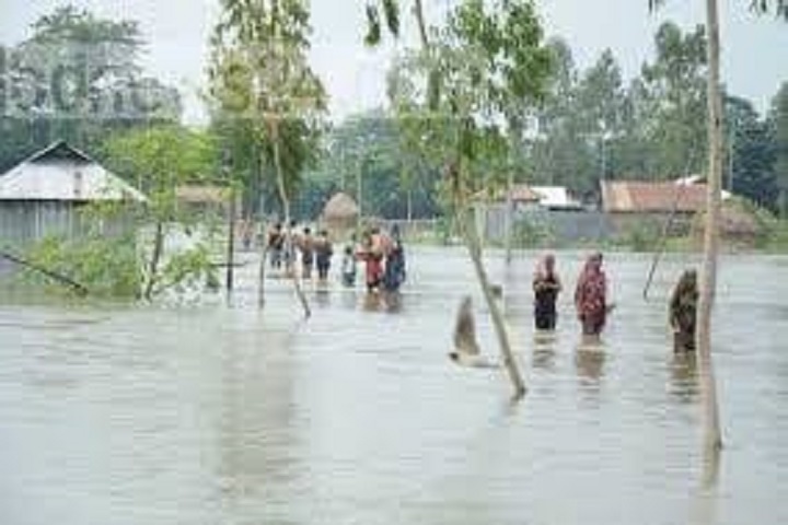 The lowlands of Jhalokati, are flooded, rtv news