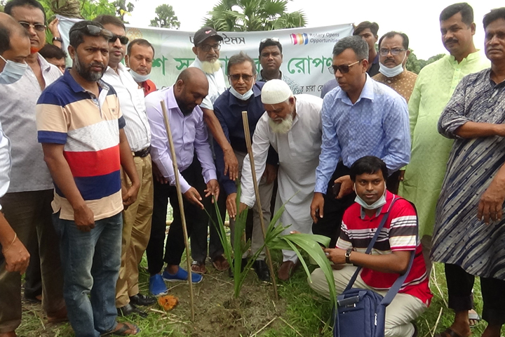 Planting of palm saplings to prevent loss of life due to lightning