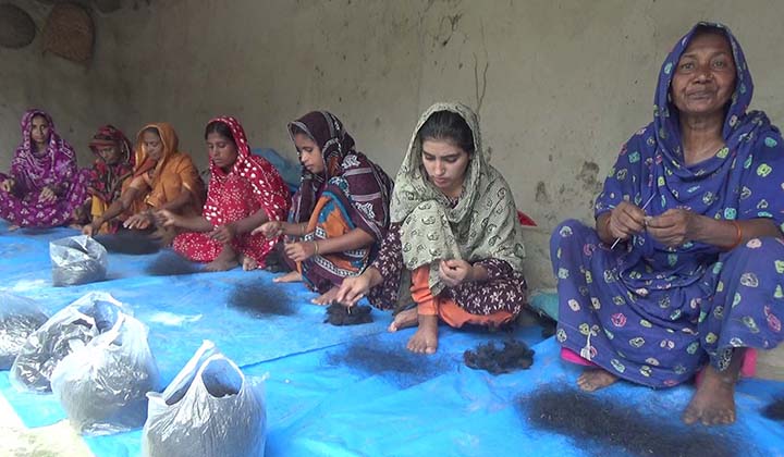 In Naogaon, the fate of thousands of people has returned with the hair of an abandoned head