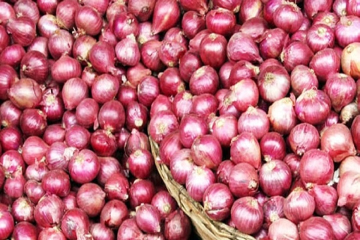 The price of onion, will come down further, rtv news